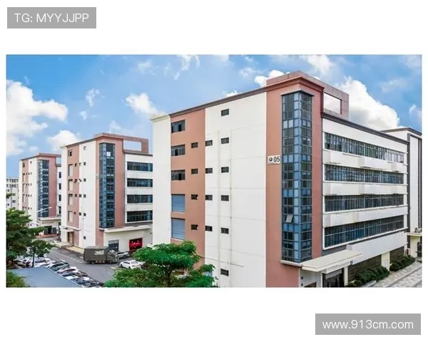 成都羽毛球队在洲际杯中的强势表现与未来发展潜力分析